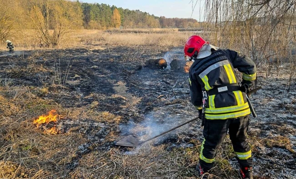 Через людську недбалість горять екосистеми у Вінницькій області