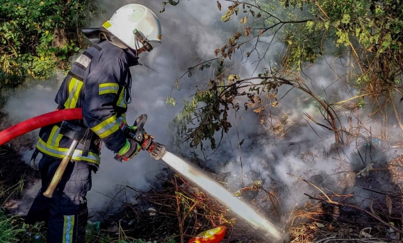 Через людську недбалість на Вінниччині вогнем обпалило понад сім гектарів землі