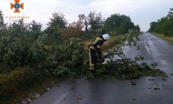 Через негоду на дороги Вінниччини попадали дерева