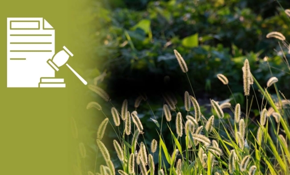 Чотири гектари заповідних земель на Вінниччині ледь не перейшли у приватну власність