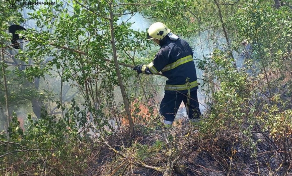 Чотири пожежі на відкритих територіях сталися на Вінниччині