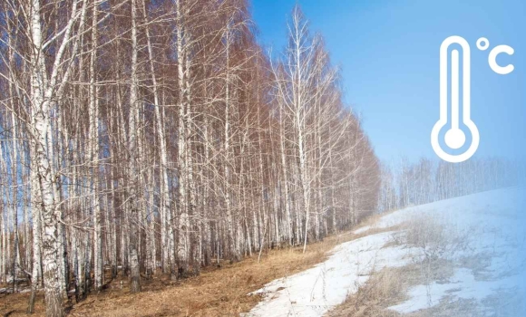 Чи чекати ще на сніг і морози на Вінниччину приходить справжня весна