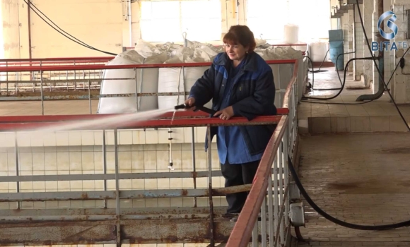 Чиста вода для Вінниці як Цюрих змінить інфраструктуру Водоканалу та якою буде водна стратегія