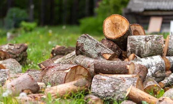 Ціни та процедура: як Тульчинський лісгосп забезпечує дровами населення