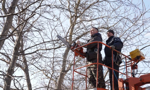 У Вінниці розпочалась санітарна обрізка дерев