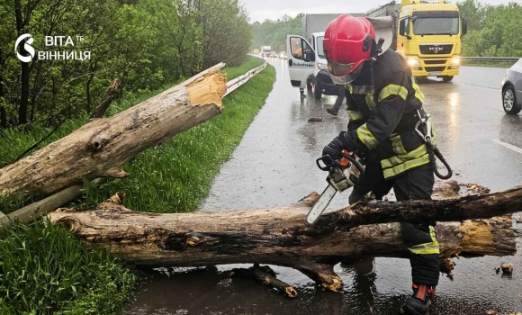Дерево на зупинці та затоплені двори стихія випробувала Вінниччину на міцність