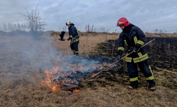 Десять гектарів знищеної та випаленої землі за добу на Вінниччині Десять гектарів знищеної та випаленої землі за добу на Вінниччині
