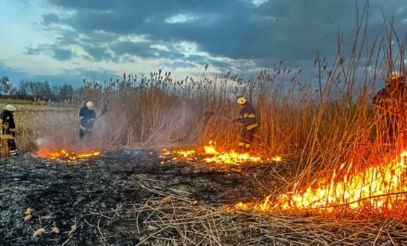Дев'ять гектарів землі за добу вигоріло у Вінницькій області
