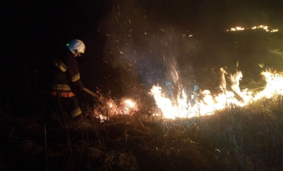 Дев'ять пожеж в екосистемах сталося за добу на Вінниччині