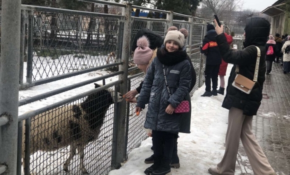 Дітки захисників з Калинівщини відвідали зоопарк у Вінниці