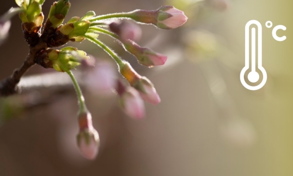 До +18 градусів, але з дощем чого чекати вінничанам від погоди 17 квітня