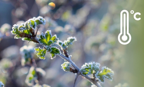 До -5 градусів у повітрі метеорологи застерігають мешканців Вінницької області