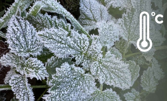 До тепла ще не близько на Вінниччину насувається сильний вітер та аномальне нічне похолодання