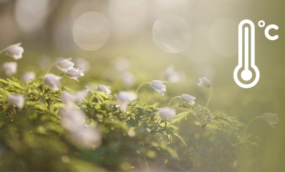 Дощі та нічний мінус ще затримаються у Вінниці на кілька днів