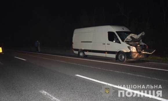 У Гайсинському районі водій “Mercedes” збив насмерть пішохода