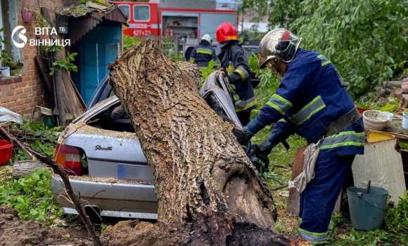Двічі у Вінниці дерева падали на автомобілі — обійшлося без постраждалих Двічі у Вінниці дерева падали на автомобілі — обійшлося без постраждалих