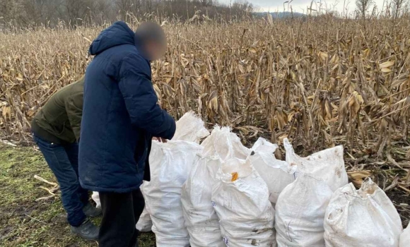 Директор будинку-інтернату на Вінниччині змушував підопічних працювати на приватних ділянках