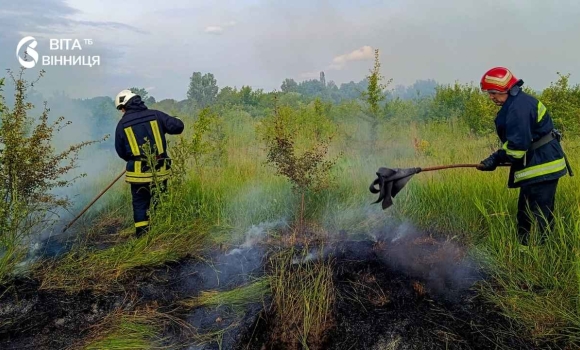 Дитячі пустощі з вогнем спричинили пожежу піднавісу із сіном на Немирівщині Дитячі пустощі з вогнем спричинили пожежу піднавісу із сіном на Немирівщині