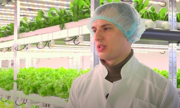 Ферма майбутнього: вінничани вирощують їжу на вертикальних грядках
