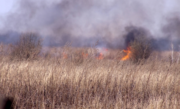 За добу на Вінниччині ліквідували десять пожеж в екосистемах