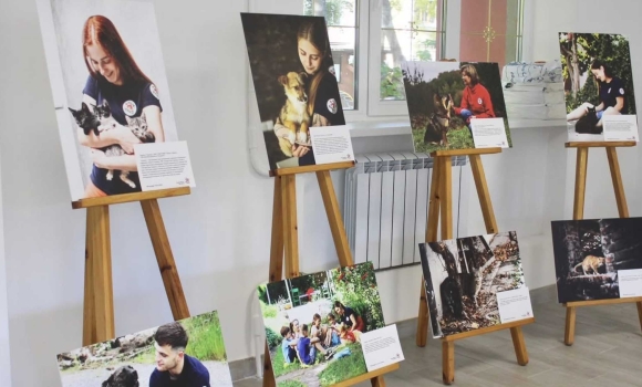 Фотовиставку про роботу зоозахисників під час війни презентують у Вінниці