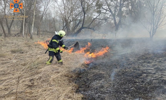 Горіли екосистеми у Вінницькому, Тульчинському, Гайсинському, Жмеринському районах