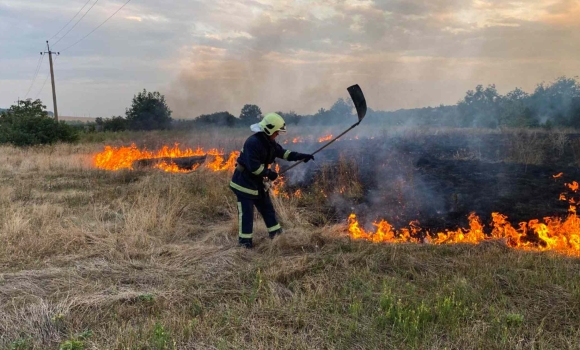 Горіло у всіх районах області та Вінниці — вогонь обпалив понад 23 га ґрунту