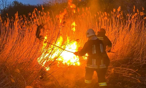 Гріли каченят і мало не спалили дім вогняна доба на Вінниччині — сім нічних виїздів