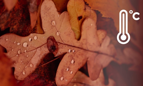 Грудень на Вінниччині почнеться з дощів, вдень 2-4° тепла