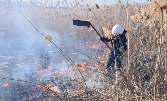 Неподалік Вінниці горіла суха трава