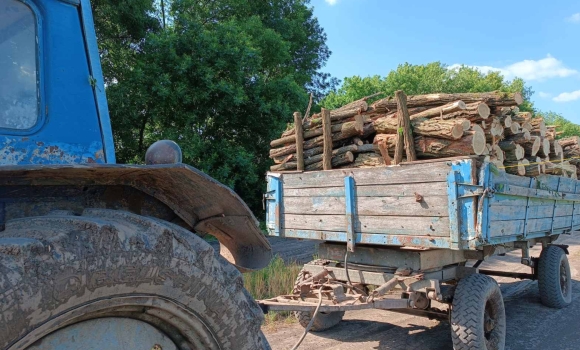 У Тростянецькій громаді лісник незаконно вирубав дерев на майже 90 тис. грн