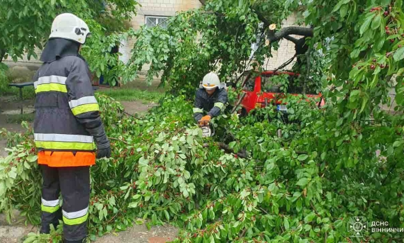 У Крижополі вітер повалив дерево на легковий автомобіль