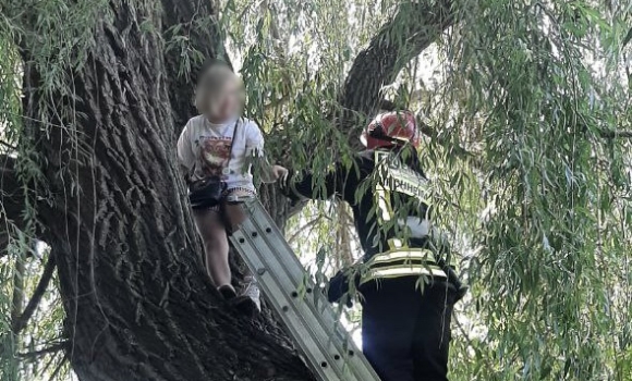 У Вінниці дівчинка залізла на дерево, а спуститись не змогла — викликали рятувальників