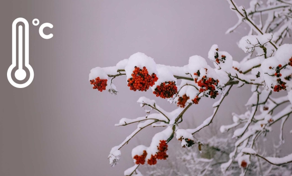 Хмарна та волога погода очікує вінничан 14 грудня – попереджають синоптики Хмарна та волога погода очікує вінничан 14 грудня – попереджають синоптики