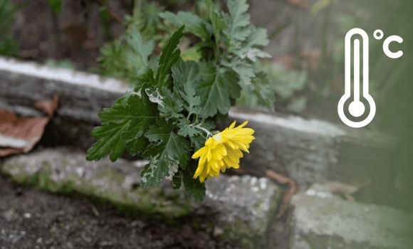 Хмарно з проясненнями - синоптики розповіли вінничанам про погоду 8 грудня Хмарно з проясненнями - синоптики розповіли вінничанам про погоду 8 грудня