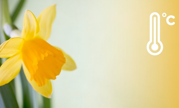 Коли відступлять нічні морози прогноз погоди на найближчі п'ять днів для вінничан