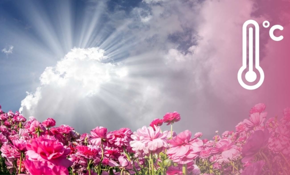 Коли вінничани відчують перші ознаки стабільного весняного тепла, що кажуть синоптики