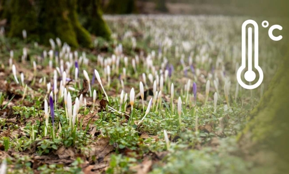 Коли ж повернеться тепла погода синоптики подарували вінничанам надію