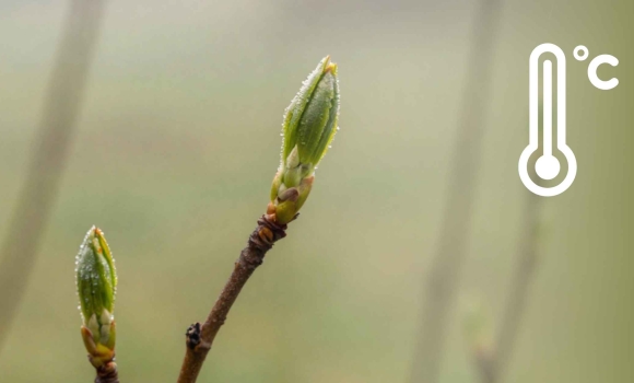 Короткочасний дощ у Вінниці як довго протримається така погода