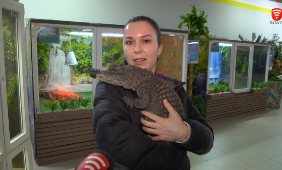 Крокодилячі апартаменти з персональними басейнами до Вінниці приїхав центр реабілітації рептилій
