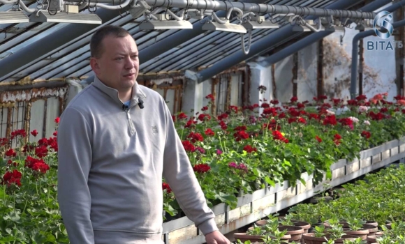 Квіти для Вінниці як у теплицях вирощують тисячі рослин для озеленення міста
