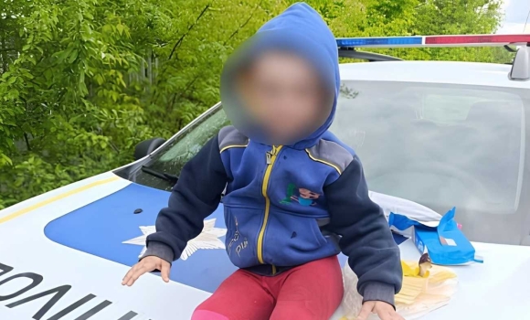Ледь не сталася трагедія на Вінниччині дворічний хлопчик пішов за собакою й опинився на коліях