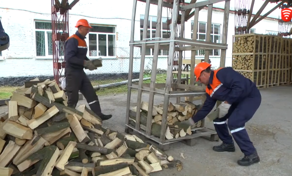 Лісівники Вінниччини заготовляють паливні дрова