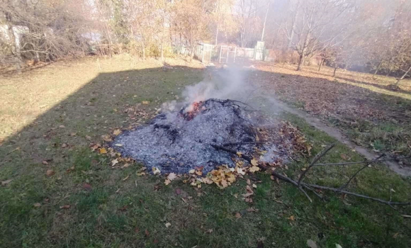 44 протоколи склали цьогоріч на паліїв листя у Вінниці 