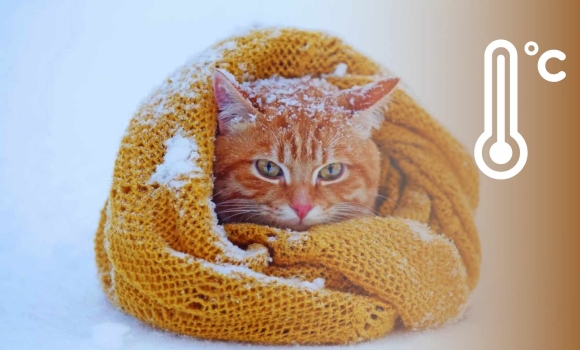 Люті морози вдарять по Вінниччині синоптики визначили де буде найхолодніше