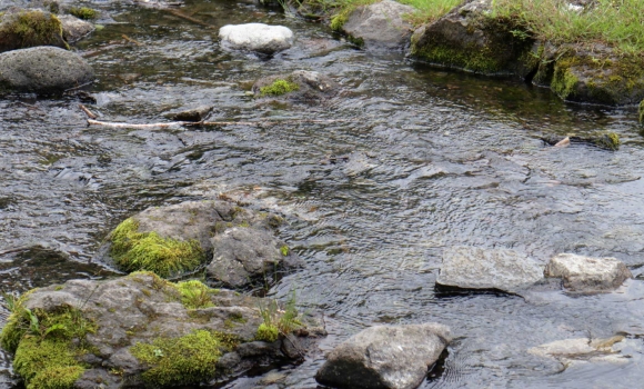 Малі річки Вінниці тепер можна побачити на цифровій мапі