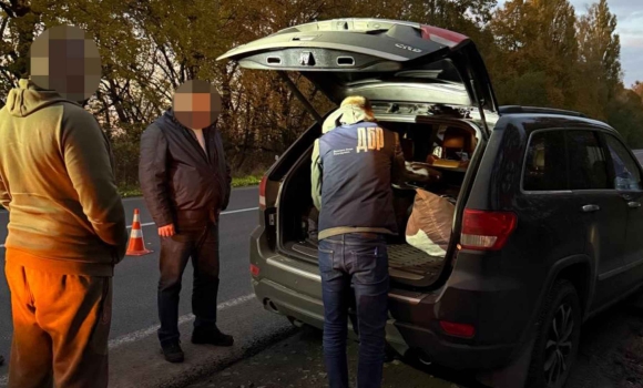 Масштабна схема незаконної вирубки дубів не оминула Вінницьку область