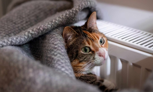 Мешканці 13 будинків Вінниці тимчасово залишаться без опалення Мешканці 13 будинків Вінниці тимчасово залишаться без опалення