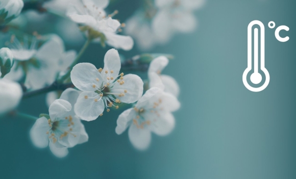 Метеорологи попередили про температурні контрасти на Вінниччині у неділю, 19 квітня