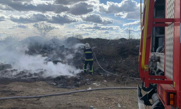 На Вінниччині протягом доби горіли екосистеми в усіх районах області - вигоріло 18 гектарів